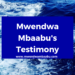 Mwendwa Mbaabu's Testimony