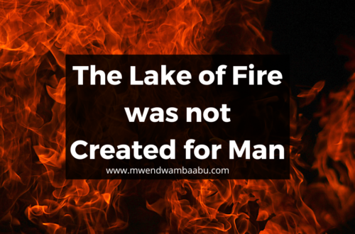 The Lake of Fire was not Created for Man