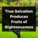 True Salvation Produces Fruits of Righteousness