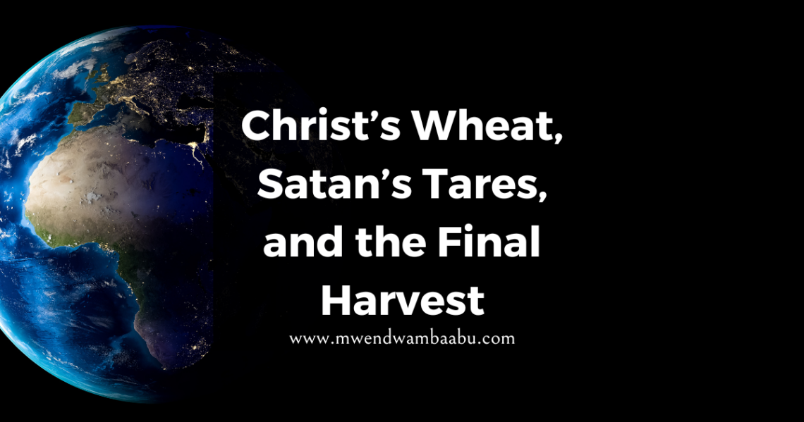 Christ’s Wheat, Satan’s Tares, and the Final Harvest