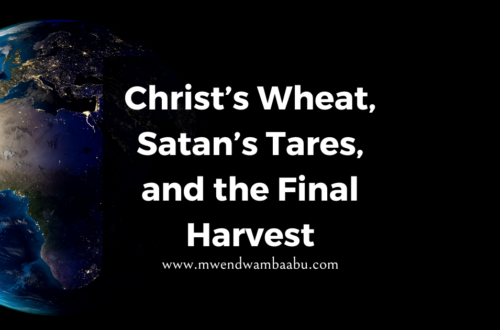 Christ’s Wheat, Satan’s Tares, and the Final Harvest