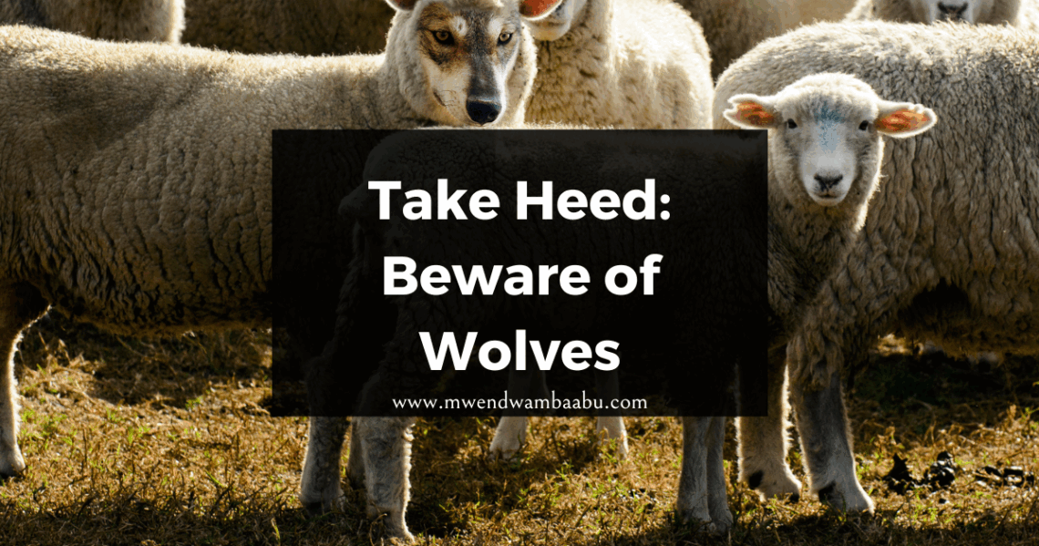 Take Heed. Beware of Wolves