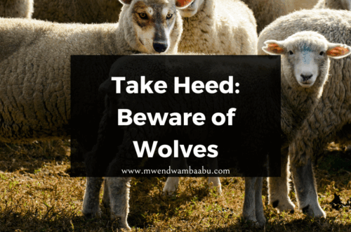 Take Heed. Beware of Wolves