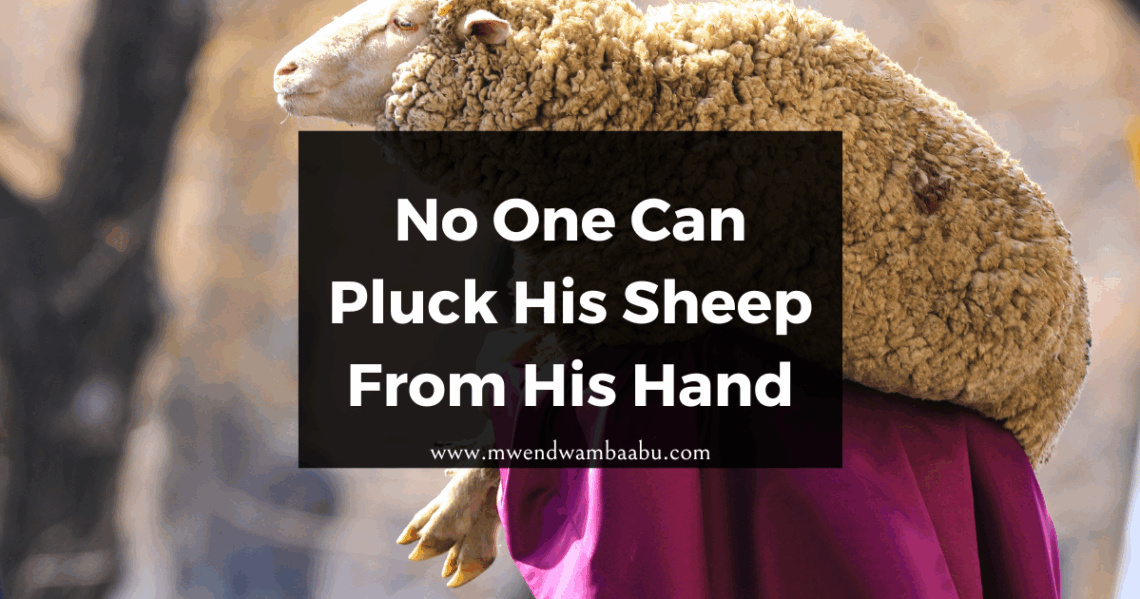 No One Can Pluck His Sheep From His Hand