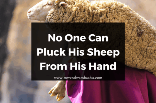 No One Can Pluck His Sheep From His Hand