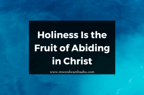 Holiness Is the Fruit of Abiding in Christ