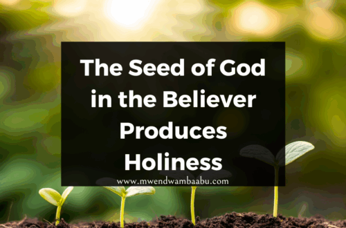 The Seed of God in the Believer Produces Holiness