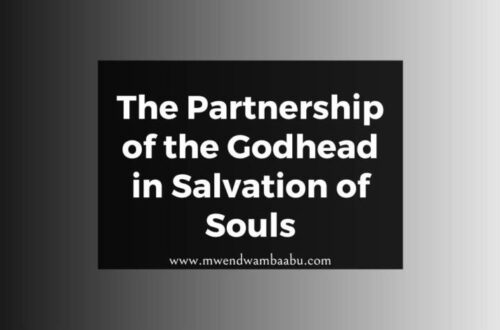 The Partnership of the Godhead in Salvation of Souls