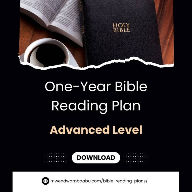One-Year Bible Reading Plan (Advanced Level) 2-page PDF