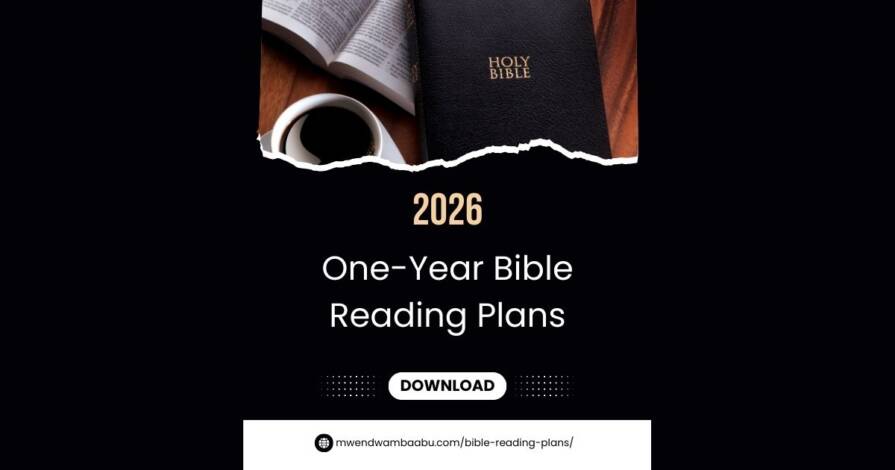 One-year Bible reading plans